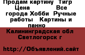 Продам картину “Тигр“ › Цена ­ 15 000 - Все города Хобби. Ручные работы » Картины и панно   . Калининградская обл.,Светлогорск г.